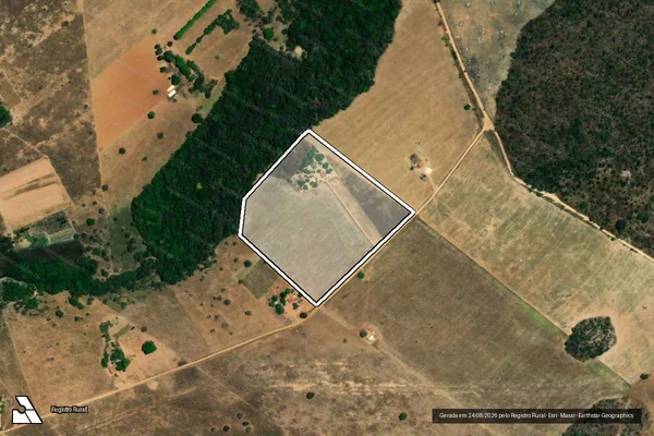 Imagem de satélite de Lote ? 36 - Projeto de Assentamento Salto para o Futuro - Lote - 36 ? Gleba B - Projeto de Assentamento Salto para o Futuro em Niquelândia - GO