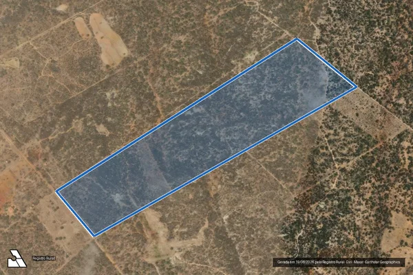 Imagem de satélite de Lote 30 ? Projeto de Assentamento Lyndopho Silva - em Petrolina - PE