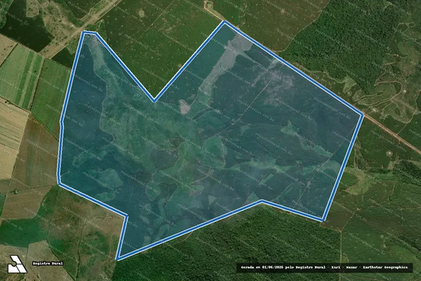 Imagem de satélite de GLEBA SÃO PAULO - FAZENDA BOA ESPERANÇA em Bom Jesus das Selvas - MA
