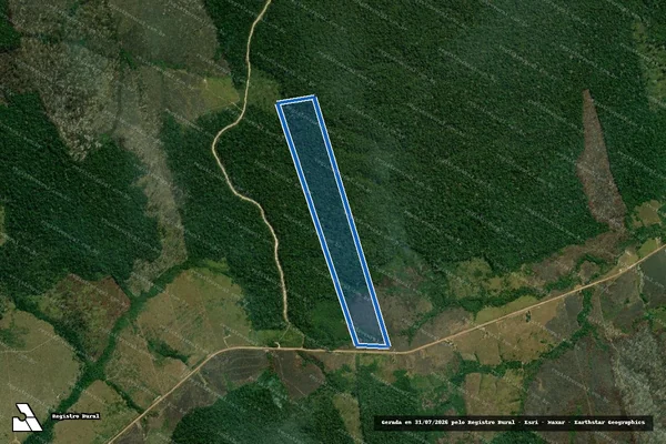 Imagem de satélite de PA_Juma_BR_230 – Lote 105 / Única