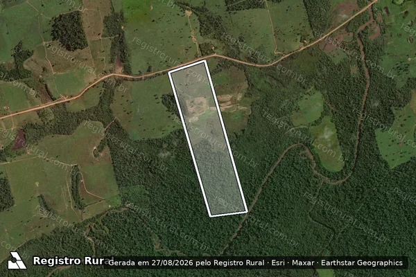 Imagem de satélite de LOTE 03 DA GLEBA 61 - Parcela 1 em Uruará - PA