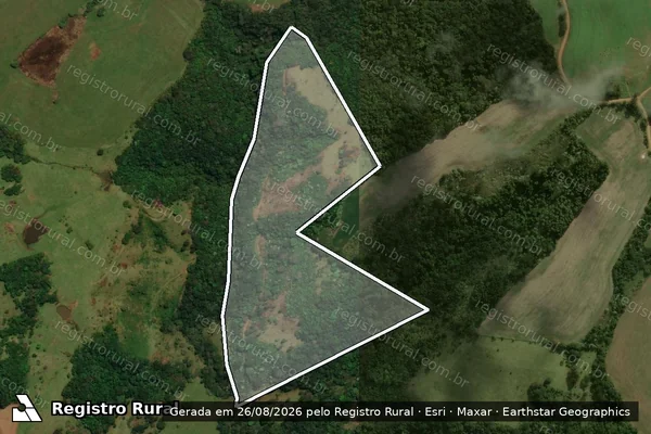 Imagem de satélite de LOTE RURAL 59 GLEBA 09 IMÓVEL TRACUTINGA - Parte 1 em Dionísio Cerqueira - SC