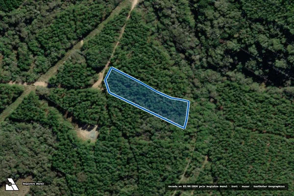 Imagem de satélite de Fazenda Nossa Senhora Aparecida - Gleba C em Nova Campina - SP