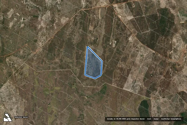 Imagem de satélite de LOTE 44 DO PA MORRINHOS - LOTE 44 DO PA MORRINHOS em Formosa - GO