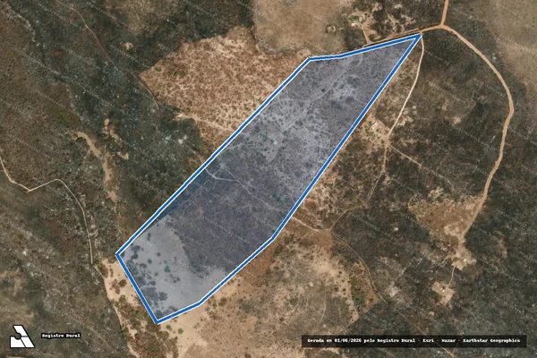 Imagem de satélite de PA CAVALCANTE ? LOTE-55 - LOTE-55 em Flores de Goiás - GO