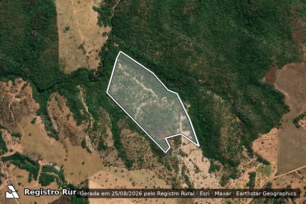 Imagem de satélite de Área de Preservação Permanente 11 - Projeto de Assentamento Olga Benário / APP 11 – P. A. Olga Benário
