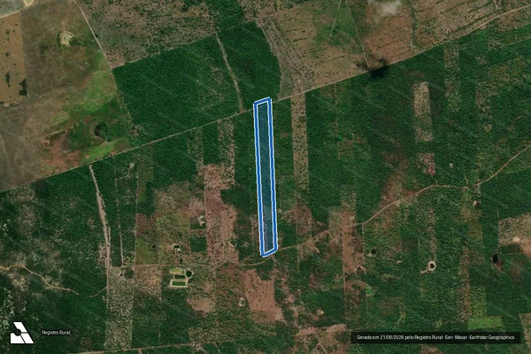 Imagem de satélite de PA TIMBAUBA- SITIO DO CAJUEIRO - LOTE 25
