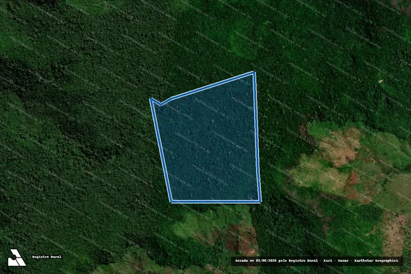Imagem de satélite de FAZENDA SÃO FRANCISCO - PARCELA 01 em Zé Doca - MA