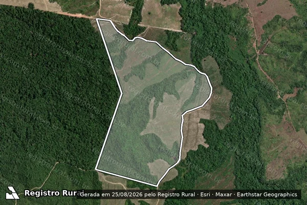 Imagem de satélite de Fazenda Rio Novo - Gleba PARCELA 1 em Dom Eliseu - PA