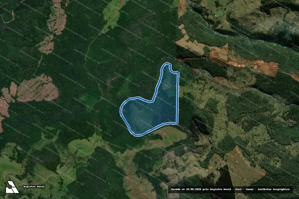 Imagem de satélite de FAZENDA 2Blll - Matrícula P/7.713 em Coronel Domingos Soares - PR