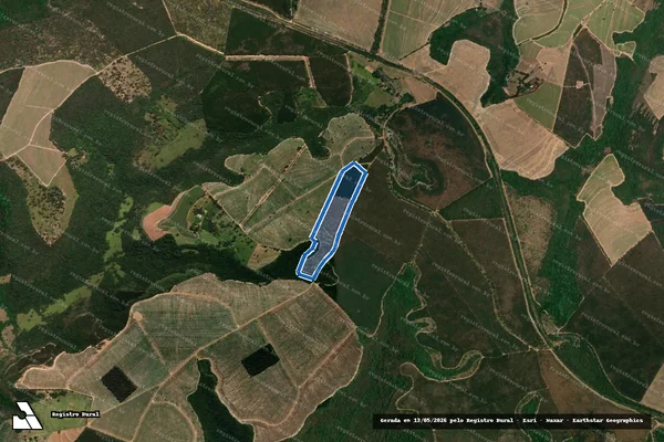 Imagem de satélite de Fazenda Cara Preta - Matricula 1346 B em São Simão - SP