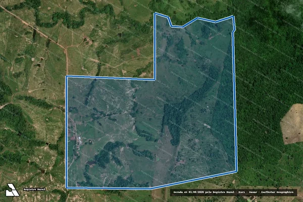 Imagem de satélite de FAZENDA ROMA IV - 001 em Palestina do Pará - PA