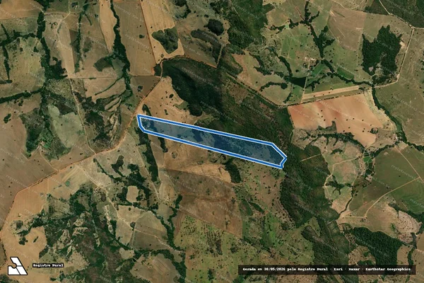 Imagem de satélite de Fazenda Bom Jesus da Varginha em Edéia - GO