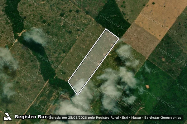 Imagem de satélite de LOTE 436 - GLEBA JORGE TEIXEIRA / LOTE 436