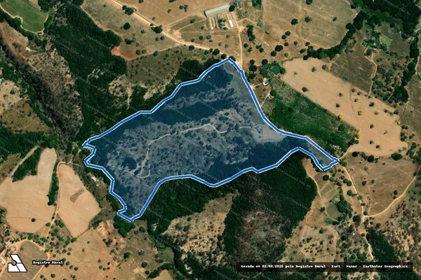 Imagem de satélite de FAZENDA NOVO POUSO ALEGRE - PARCELA 02 em Lagoa da Prata - MG
