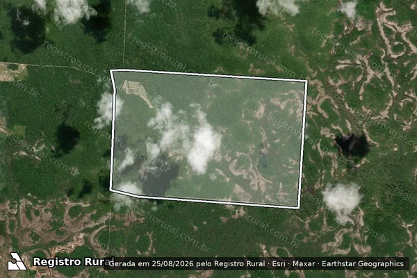 Imagem de satélite de Fazenda Nossa Senhora Aparecida - REM em Caracaraí - RR