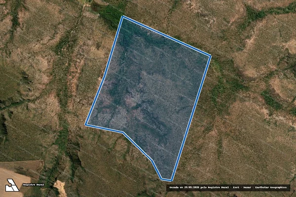 Imagem de satélite de FAZ. PAINEIRA IV - PARCELA 01 em Monte Alegre do Piauí - PI