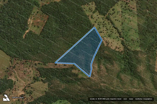 Imagem de satélite de FAZENDA SOARES OU CAMPOS BELOS E MONDONGOS - 001 em Pirenópolis - GO