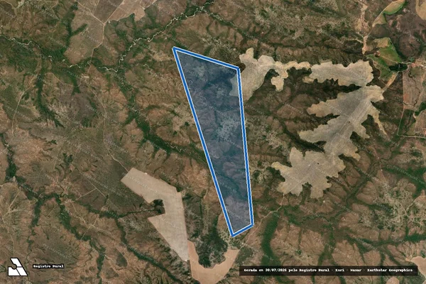 Imagem de satélite de FAZENDA CAPÃO IV em Loreto - MA