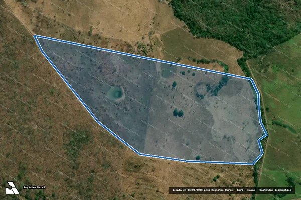 Imagem de satélite de GLEBAS ANGELIM E PASSAGEM DE PEDRA - DATA VEREDA GRANDE - Gleba VI em Riachão - MA