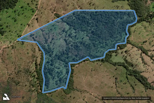 Imagem de satélite de FAZENDA CONCEIÇÃO DO VERÍSSIMO - Parcela 1 em Campo Alegre de Goiás - GO