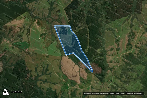 Imagem de satélite de Floresta X - Gleba B em Encruzilhada do Sul - RS