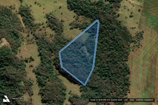 Imagem de satélite de Fazenda Sapecado - Parcela 1 em Pains - MG