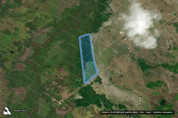 Imagem de satélite de FAZENDA PANTANAL - FAZENDA PANTANAL em Maranhãozinho - MA