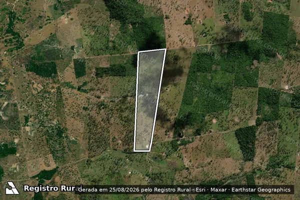 Imagem de satélite de LOTE 20-FAZENDA QUATRO IRMÃOS-P. A. FLORESTA I / Lote 20