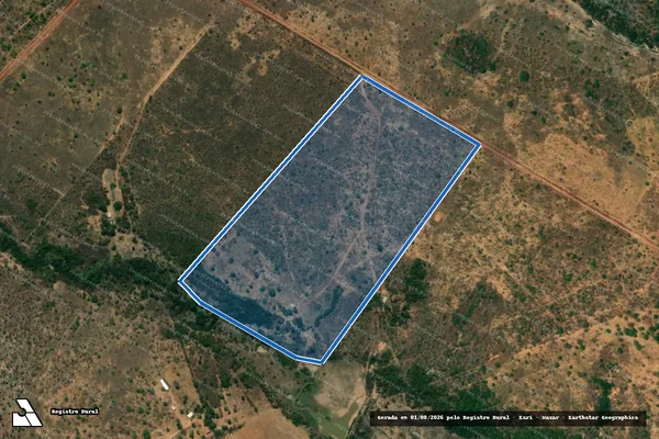 Imagem de satélite de LOTE 41 DO PA SÃO FRANCISCO DE ASSIS - LOTE 41 DO PA SÃO FRANCISCO DE ASSIS em Formosa - GO