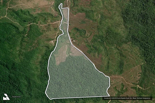 Imagem de satélite de FAZENDA VITÓRIA RÉGIA - Área 2 em Dom Eliseu - PA