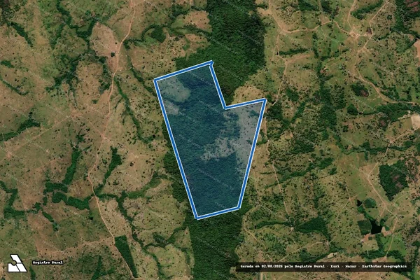 Imagem de satélite de Fazenda Pé do Morro - Remanescente 2 ? Mun. Muricilândia em Muricilândia - TO