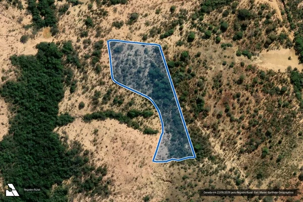 Imagem de satélite de Fazenda Panorama - Parte 31 em Morada Nova de Minas - MG