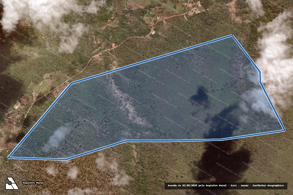 Imagem de satélite de FAZENDA VEREDA DO CHAPÉU  - Parcela 1 em Itaueira - PI