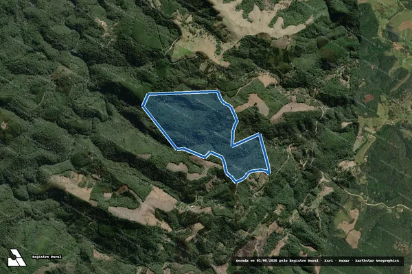 Imagem de satélite de LOTE RURAL - SITIO CERNE em Campo Largo - PR