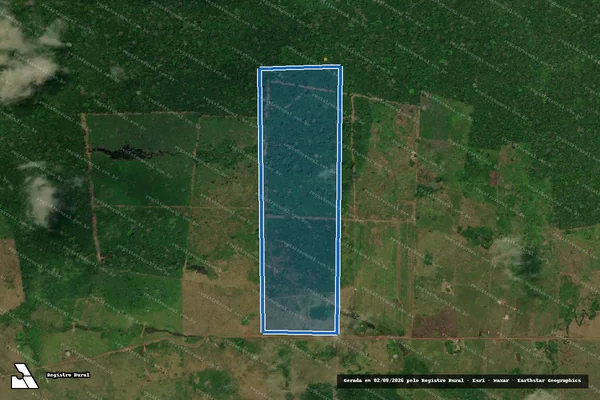 Imagem de satélite de LOTE-55_TD-RR000300002580/2005 - Única em Rorainópolis - RR