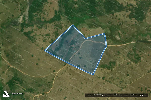 Imagem de satélite de Fazenda Palmeira - Parcela 01 em Nanuque - MG