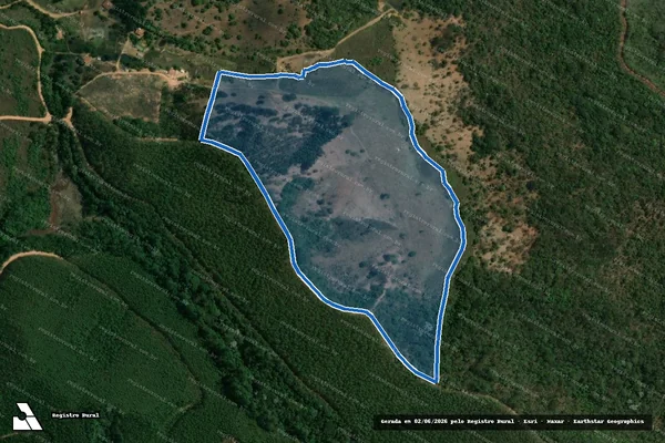Imagem de satélite de FAZENDA SUACUI PEQUENO E GONCALVES - . em Peçanha - MG