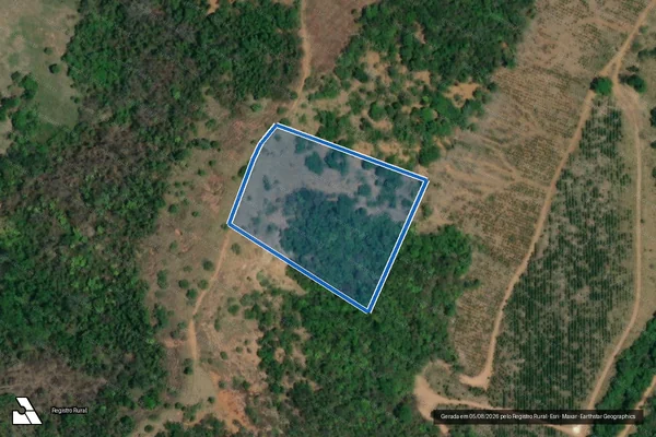 Imagem de satélite de Fazenda Boa Vista - GLEBA XCIX em Açucena - MG