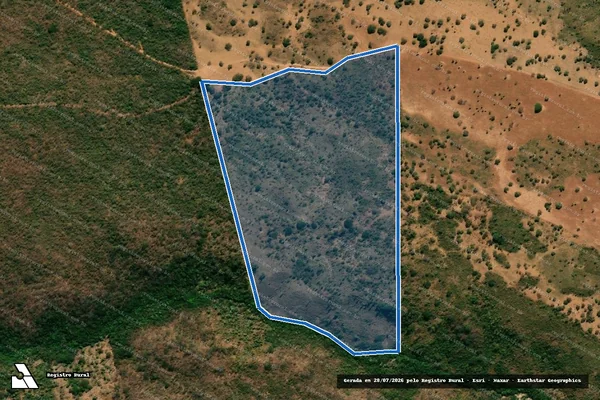 Imagem de satélite de FAZENDA VEREDA GRANDE - Parte 1 em São Domingos - GO