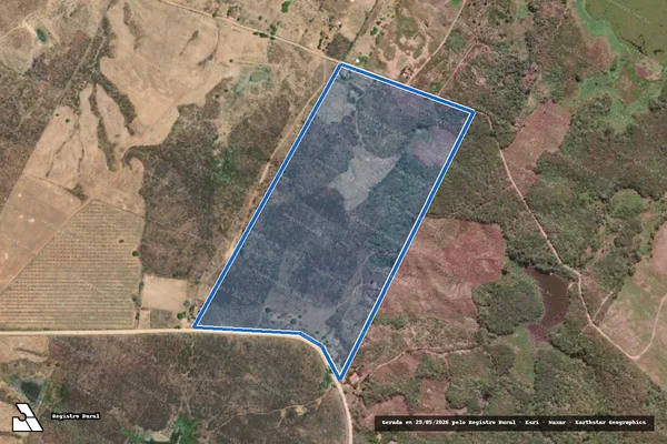 Imagem de satélite de FAZENDA MUNGUBA BONITA - GLEBA A em Ipu - CE