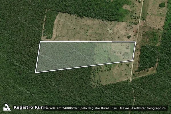 Imagem de satélite de Projeto de Assentamento Taquaral - Lote 393 em Corumbá - MS