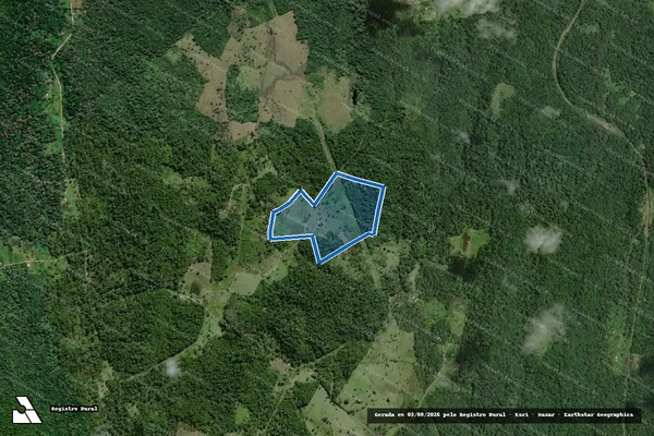 Imagem de satélite de FAZENDA VERDES MARES - ARAÚJO?S em Ilhéus - BA