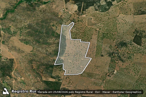Imagem de satélite de SITIO SERROTE ESCURO ? LOTE 0064 - Parte 1 em Potiretama - CE