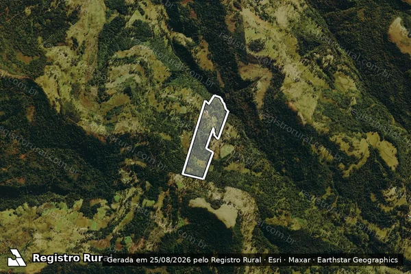 Imagem de satélite de SITIO PALHEIRO - REMAMENESCENTE em Urubici - SC