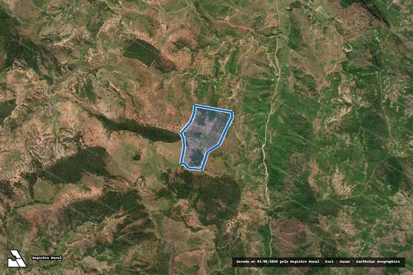 Imagem de satélite de FAZENDA PALMEIRA - FAZ PALMEIRA em Conselheiro Pena - MG