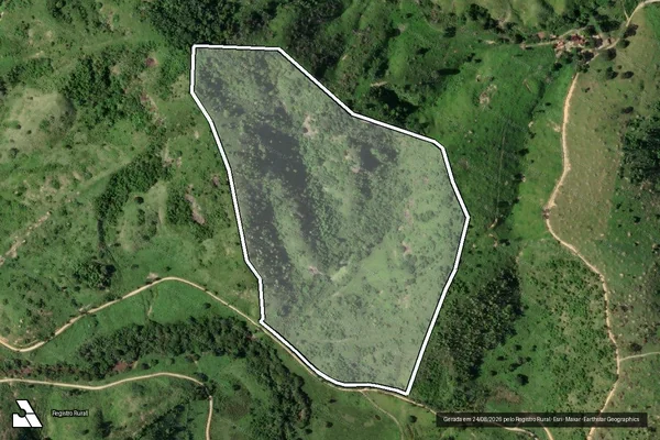 Imagem de satélite de FAZENDA TORRÃO DE MEL - Parte 1 em Carlos Chagas - MG
