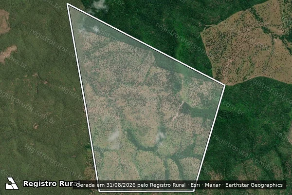 Imagem de satélite de FAZENDA ANTA VIII / FAZENDA ANTA VIII