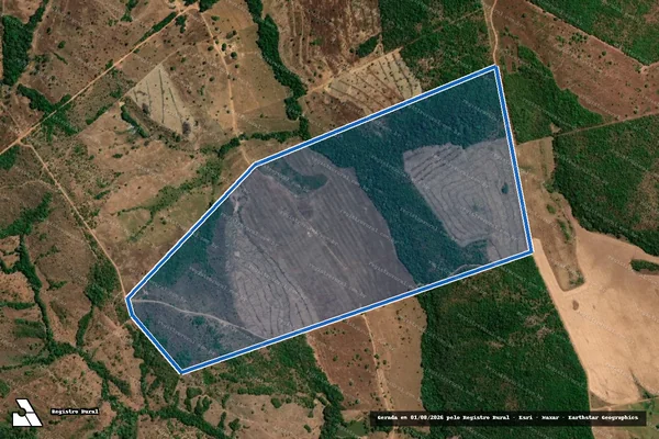 Imagem de satélite de FAZENDA BACABA - LOTE n° 16-D em Nova Rosalândia - TO