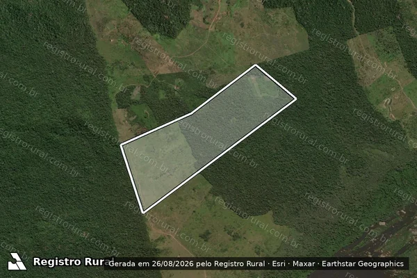 Imagem de satélite de FAZENDA EBENÉZER 77 - PARTE 1 em Brasil Novo - PA